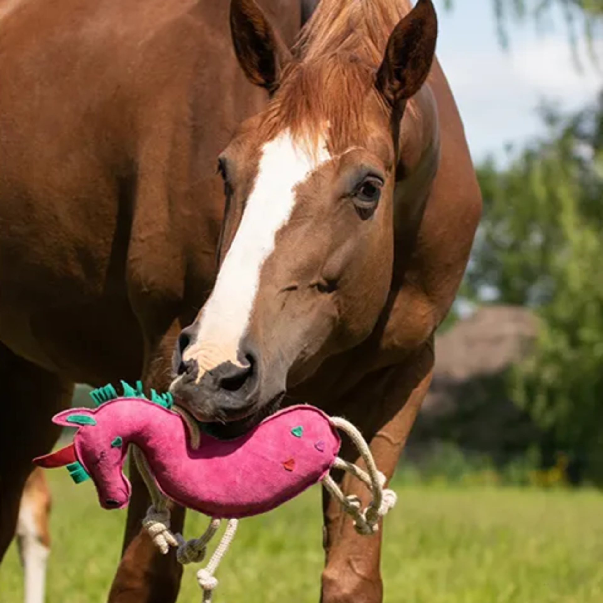 Horse toys from RB equestrian
