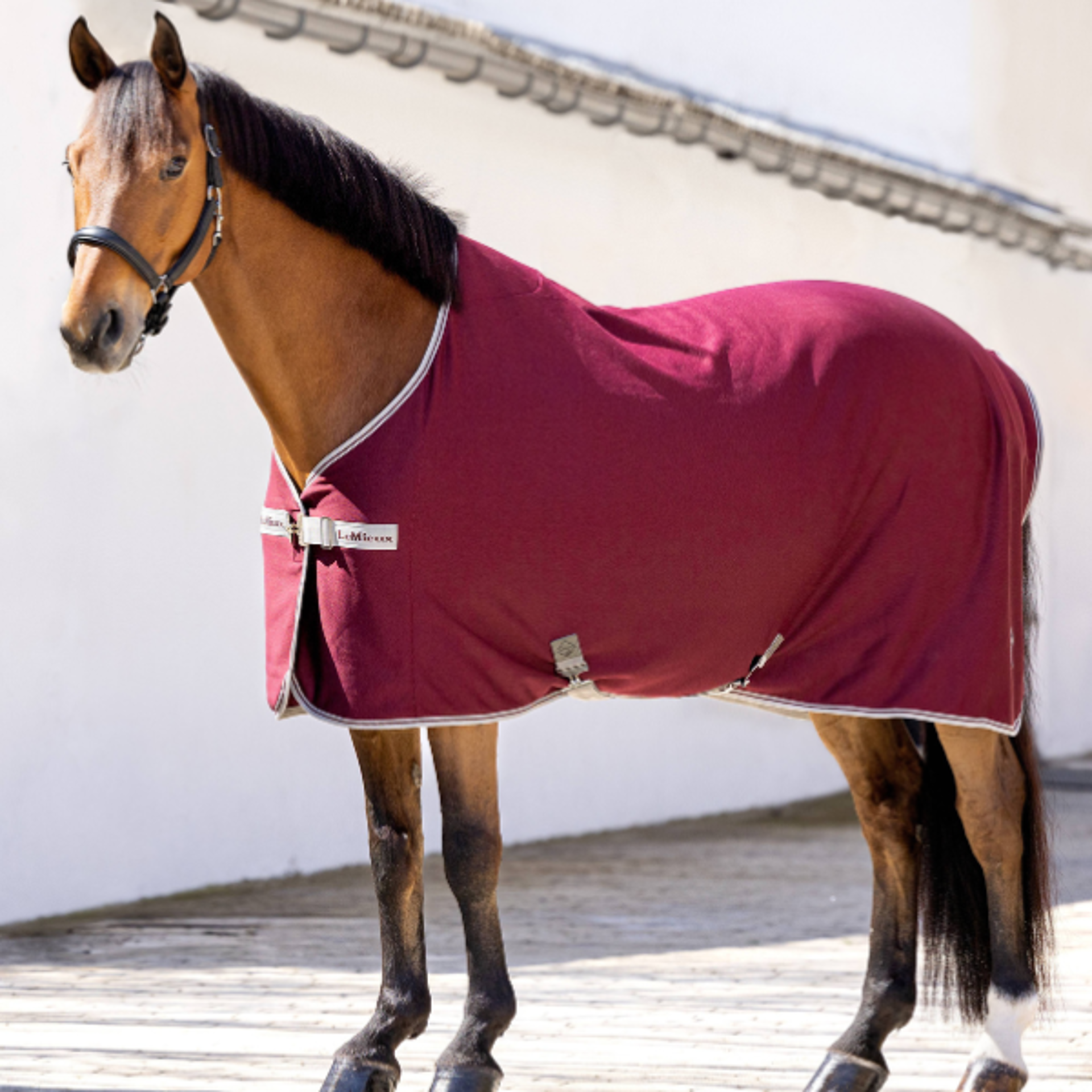 LeMieux Horse Rugs 