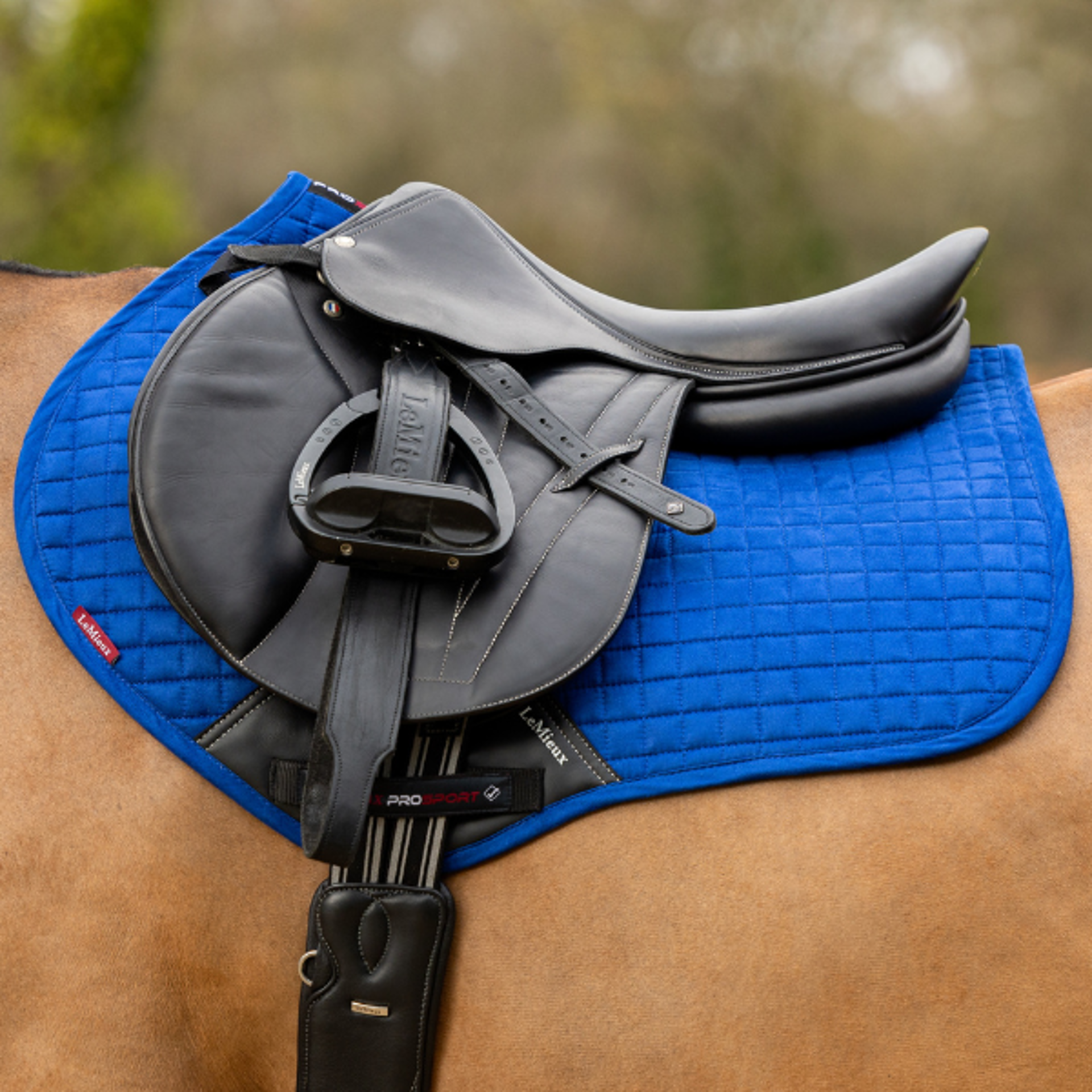 LeMieux Saddlecloths from RB Equestrian