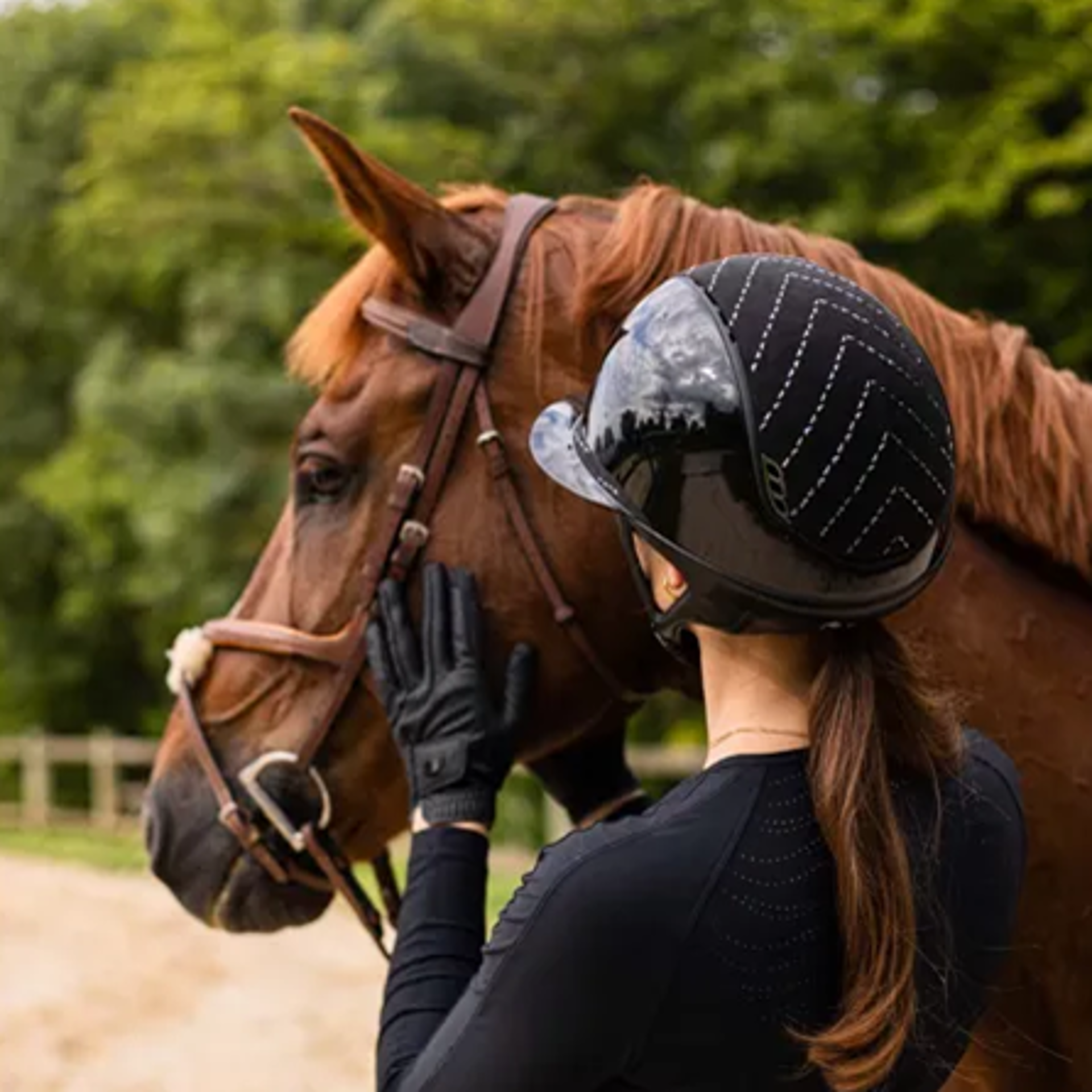 Glossy black from RB Equestrian