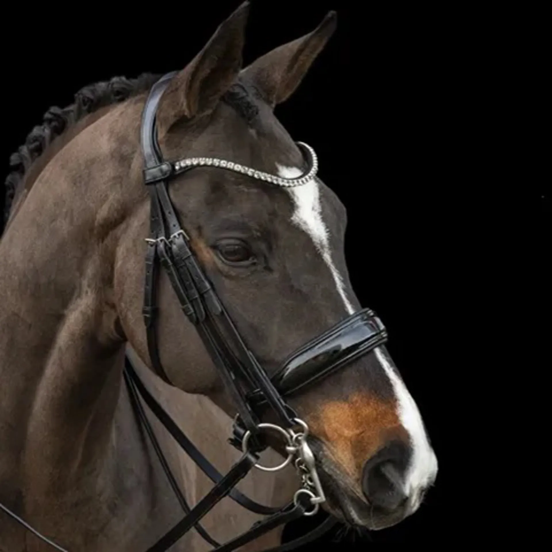 Schockemohle double bridle from RB Equestrian