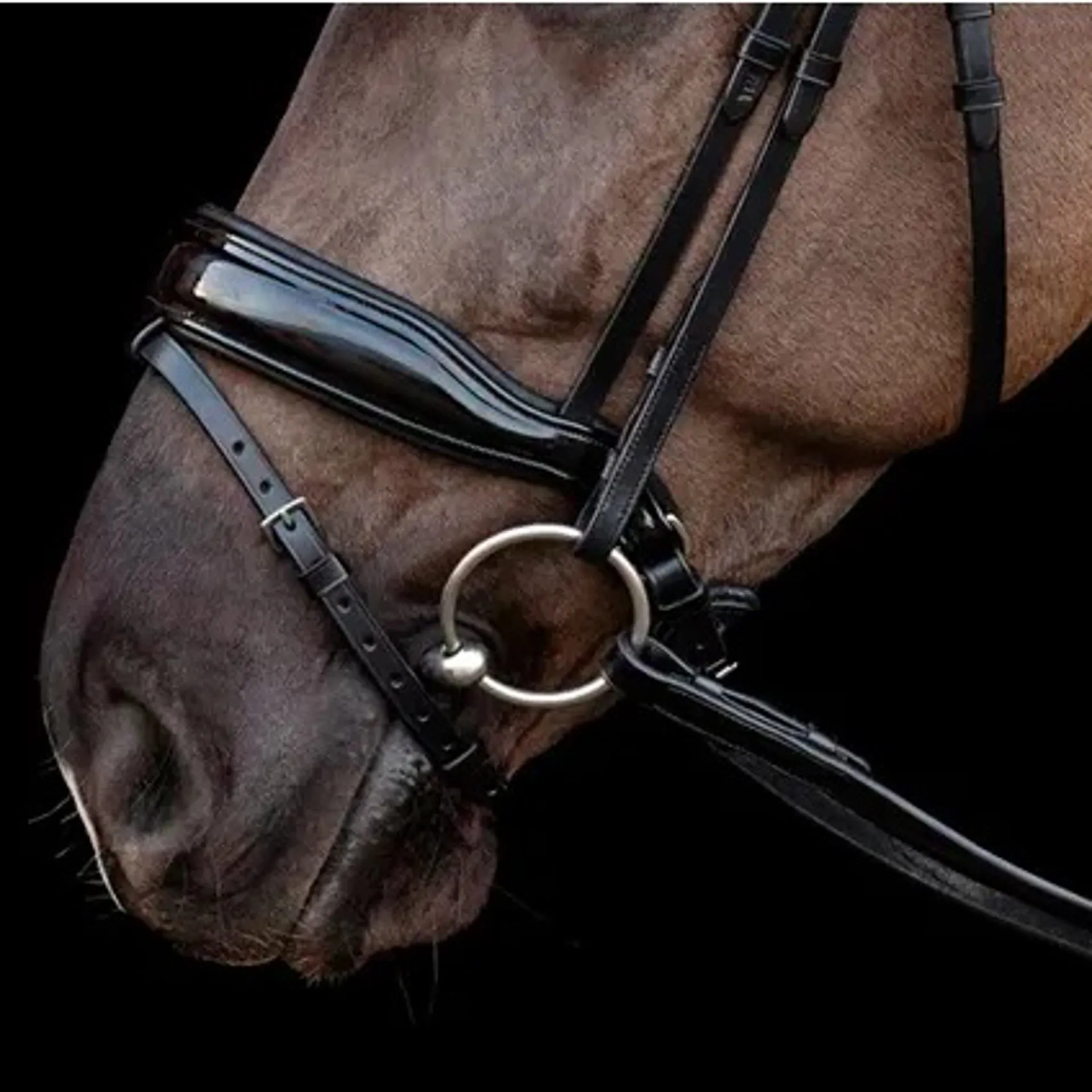 Schockemohle patent collection from RB equestrian