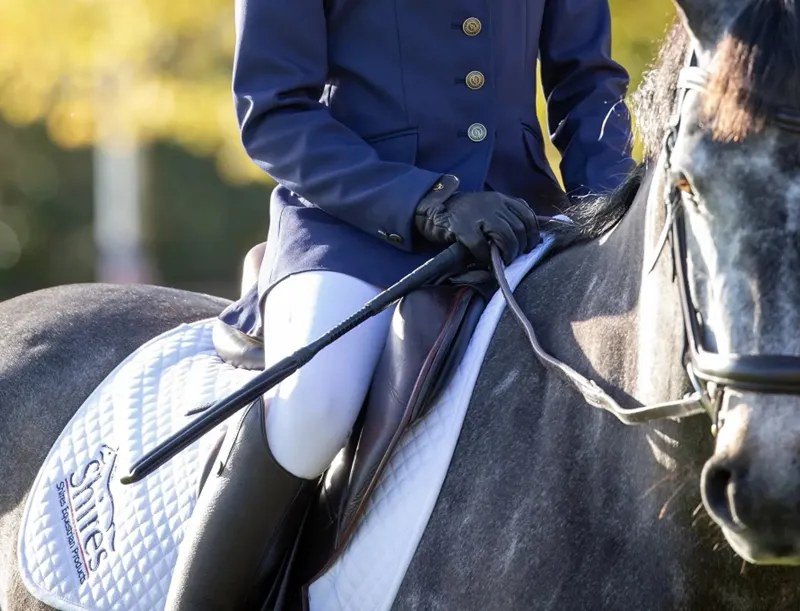 Shires Elasticated Breakaway Bungee Stall Guard – 60 Cm, Dehnbar, Mit Karabiner & Panikklipp