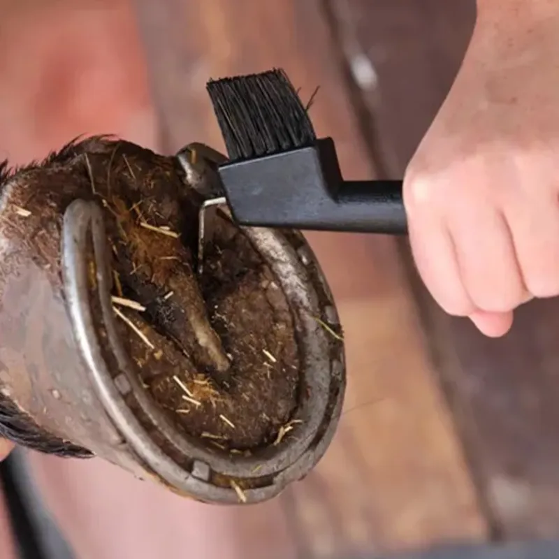 Hoof pick from RB Equestrian