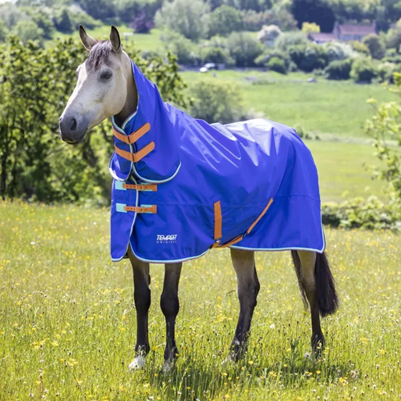 Shires Turnout Rug from RB Equestrian