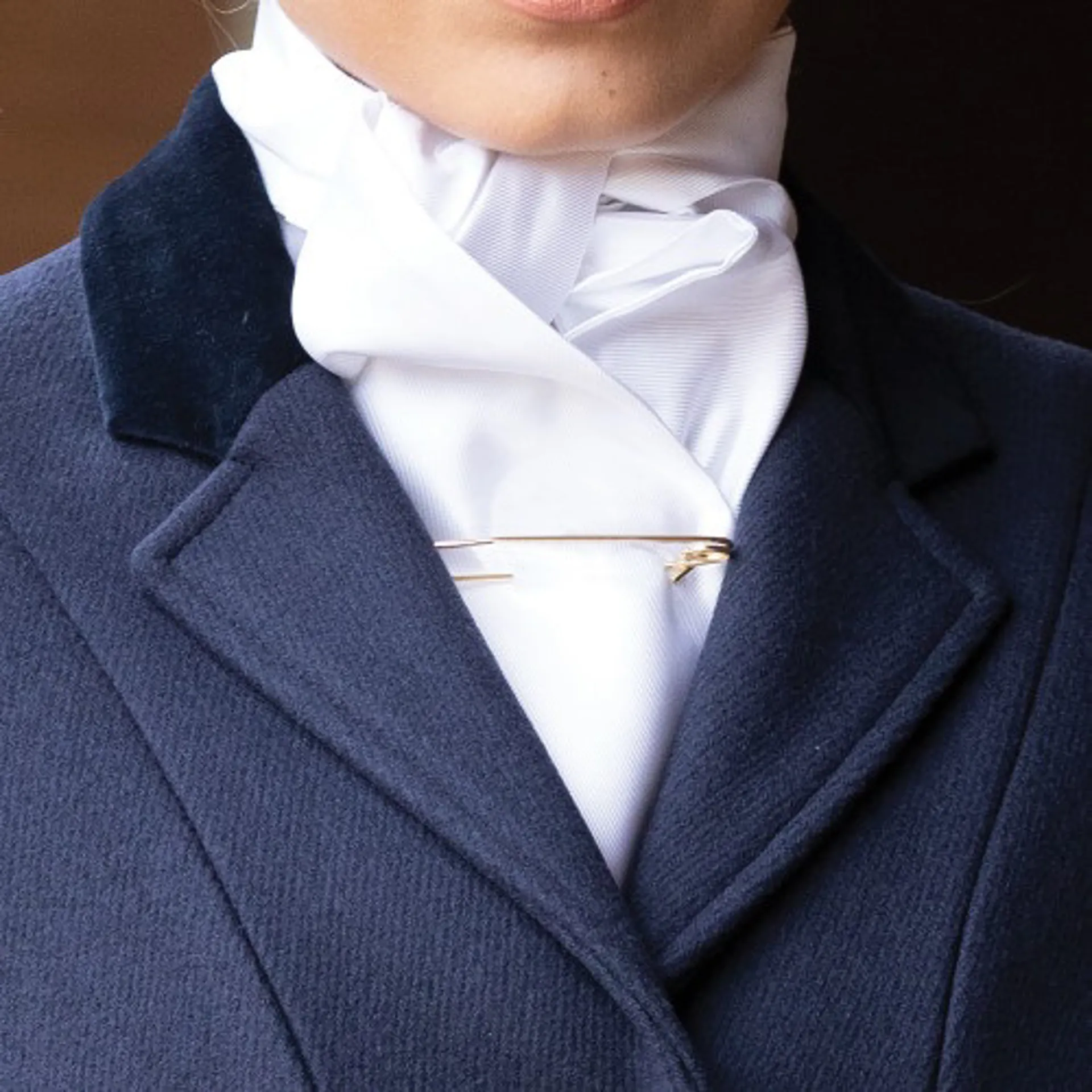 Stocks,Ties and pins from RB Equestrian