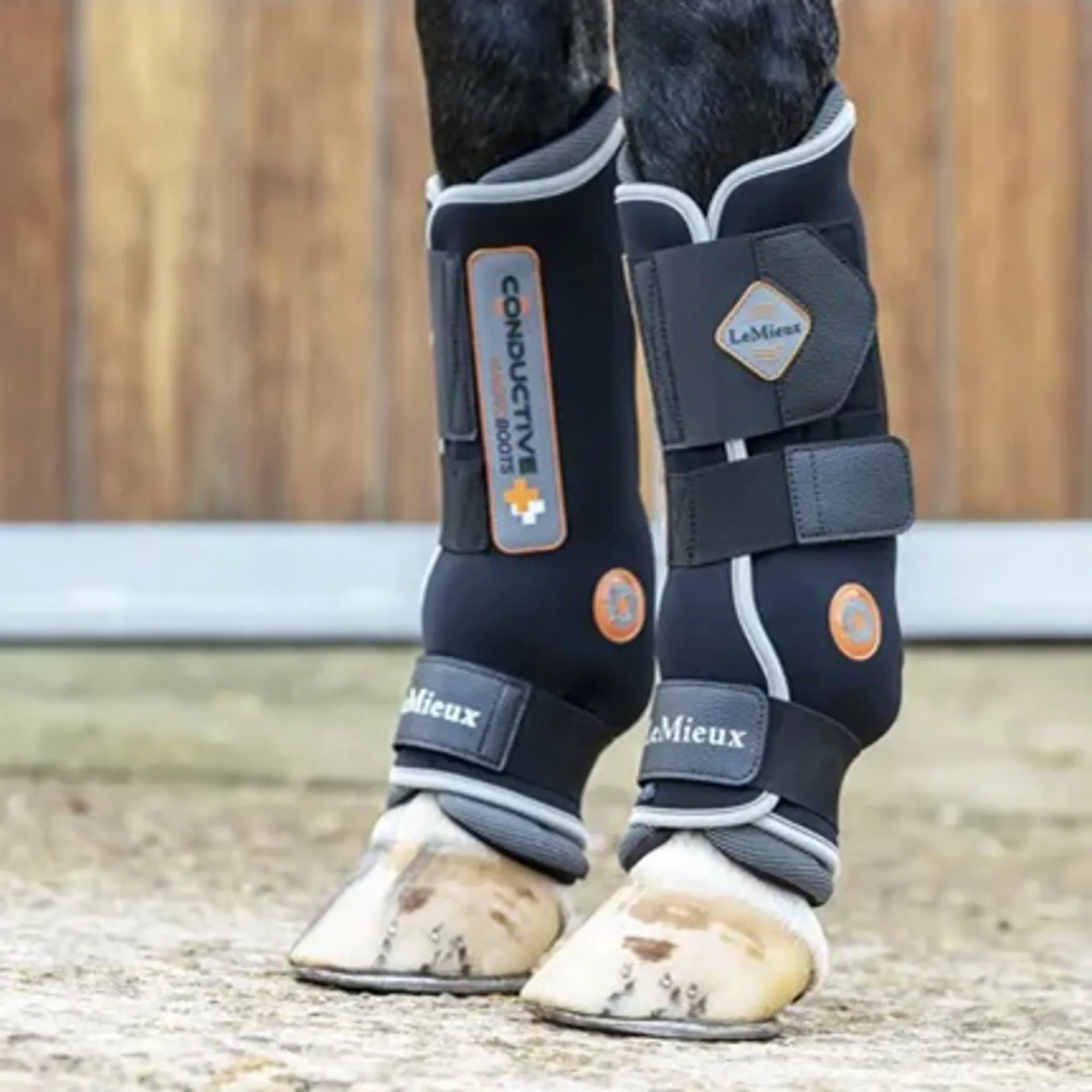 Stable boots from RB Equestrian