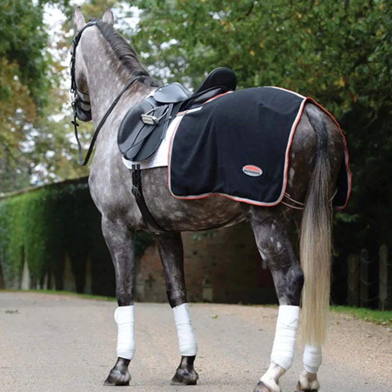 Horse Exercise Sheet from RB Equestrian