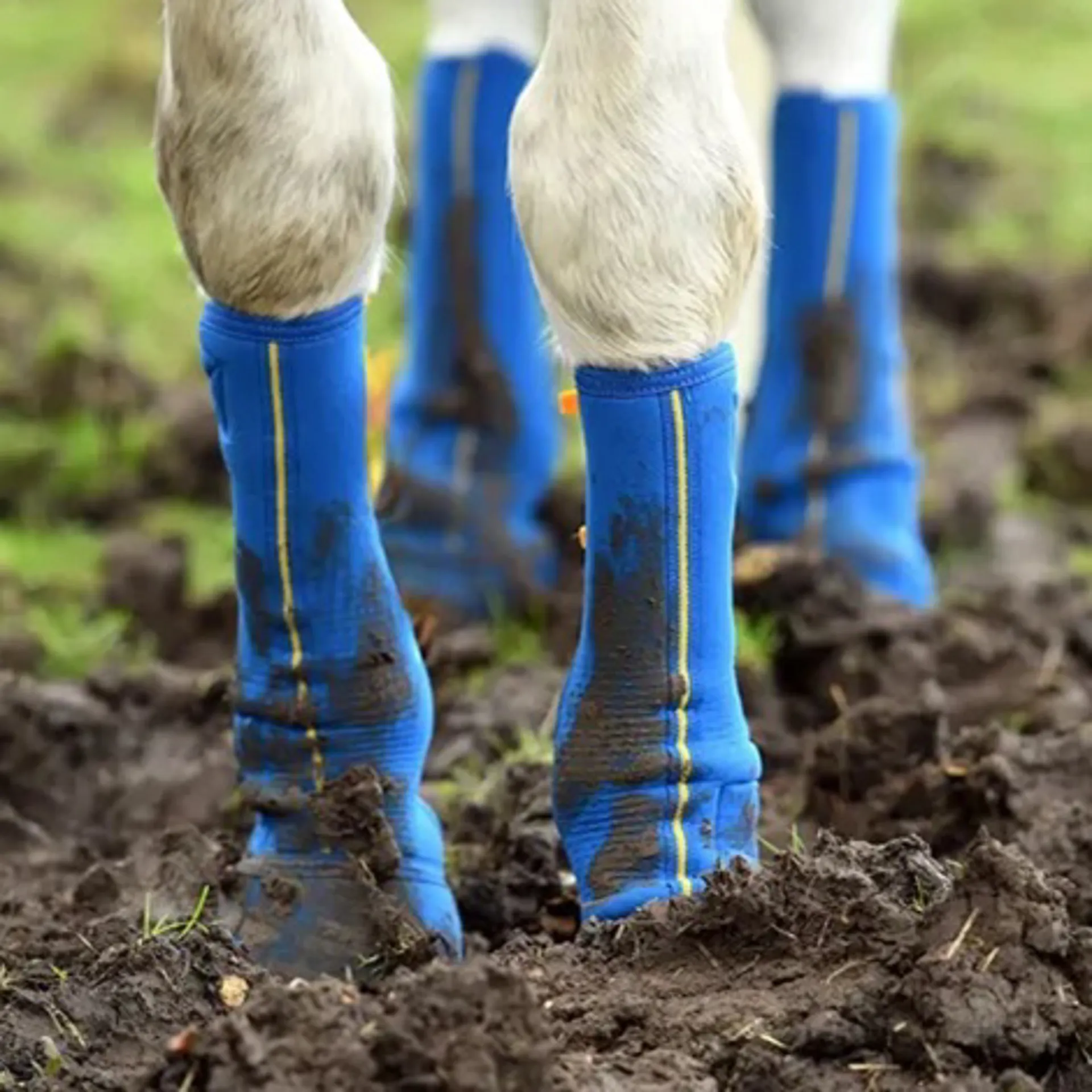 Turnout boots from RB equestrian