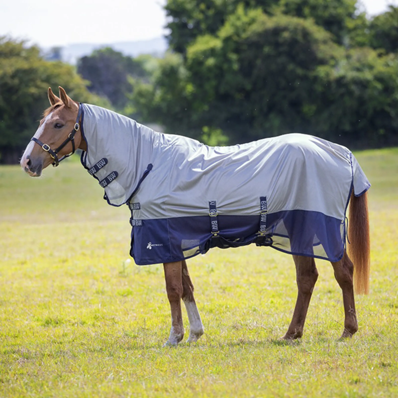 Metabug Fly Rug from RB Equestrian
