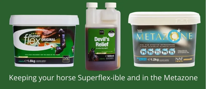 Winter Joints – Keeping your horse Superflex-ible and in the Metazone this winter
