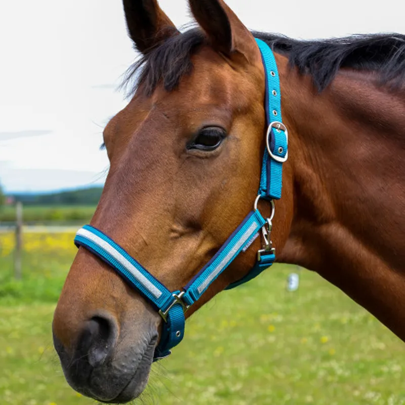 Hy Equestrian Mystic Headcollar in Teal/Silver Dust-1