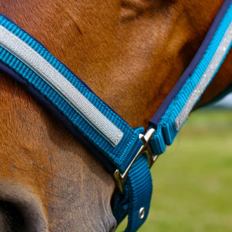 Hy Equestrian Mystic Headcollar in Teal/Silver Dust-2