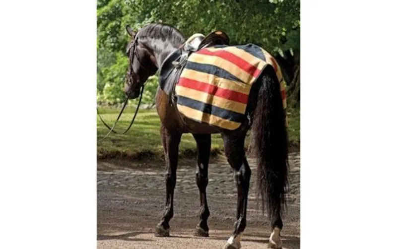 Horseware Newmarket Exercise Sheet
