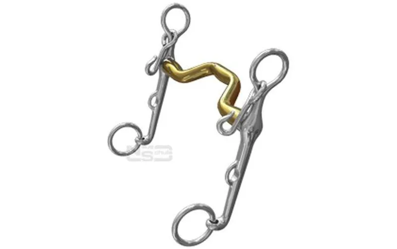 Neue Schule Dressage Warmblood Weymouth