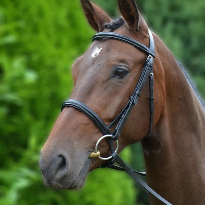 Hy Equestrian Padded Cavesson Bridle with Reins in Black