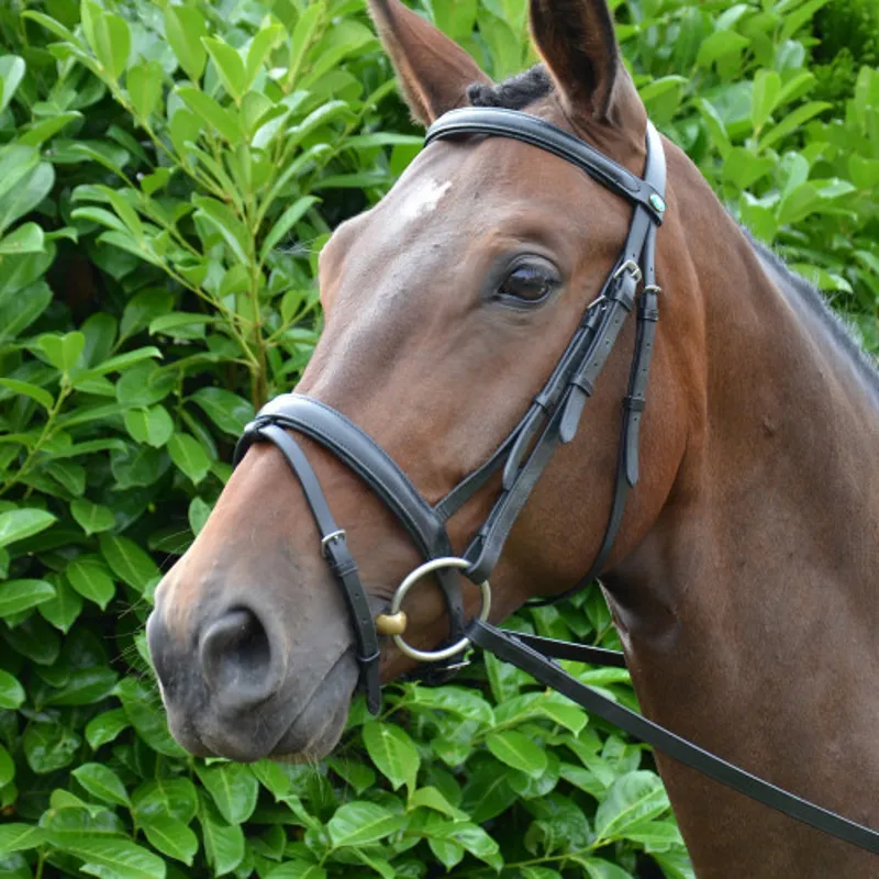 Hy Equestrian Padded Flash Bridle with Rubber Grip Reins in Black