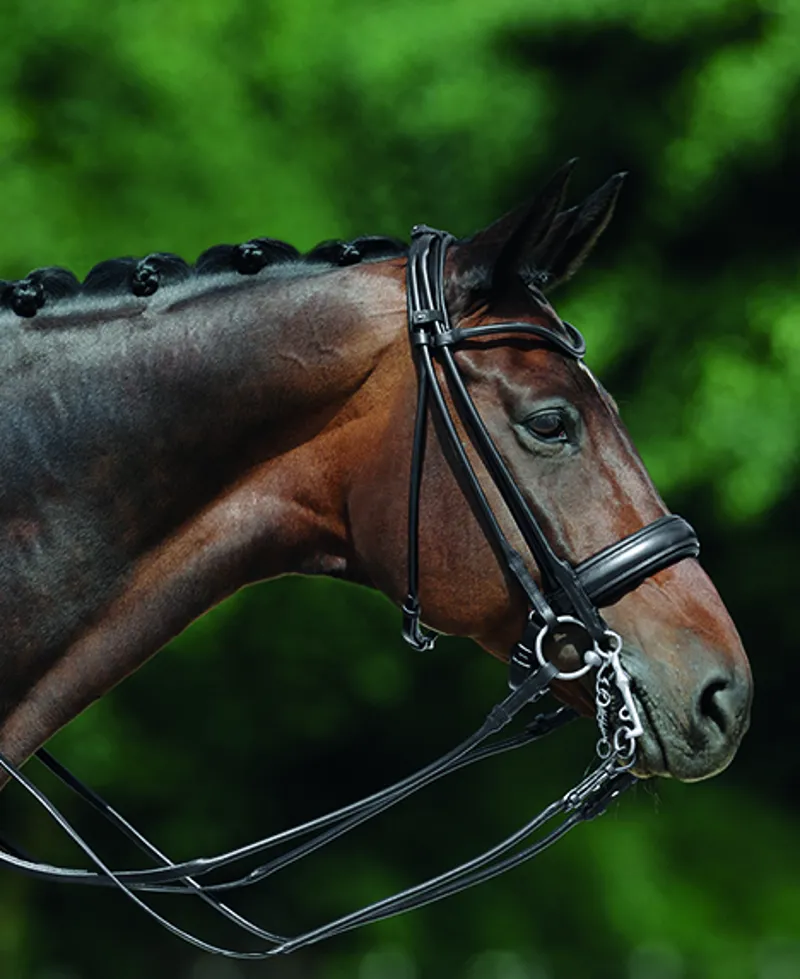 Passier Boston Double Bridle Full in Black