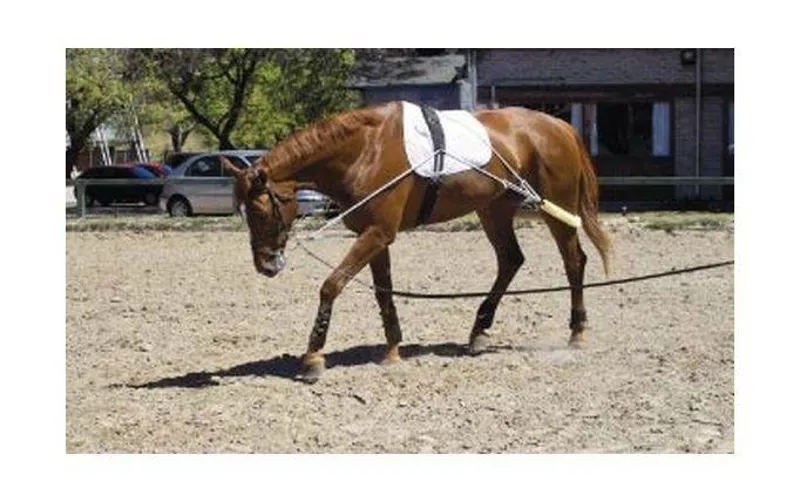 Pessoa Training Aid