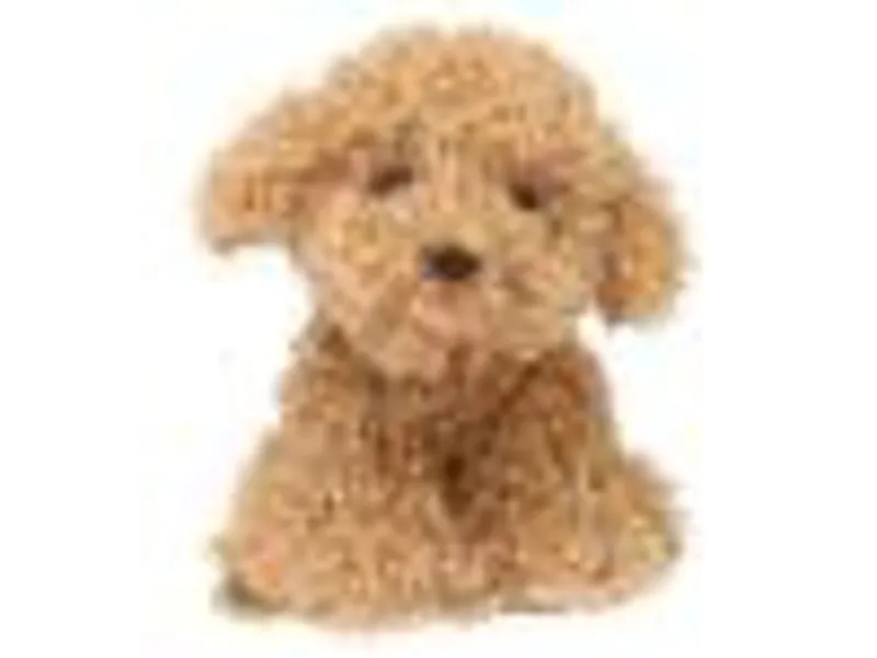 Depesche Plush Dog Holly