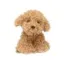 Depesche Plush Dog Holly
