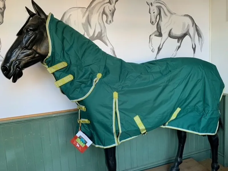 Bridleway Ontario 100g Combo Turnout Rug in Green-2