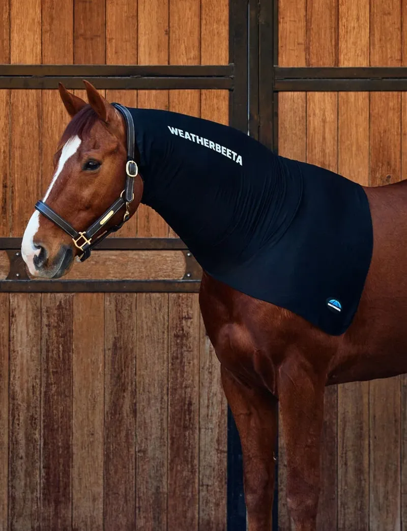 WeatherBeeta Stretch Neck Rug in Black