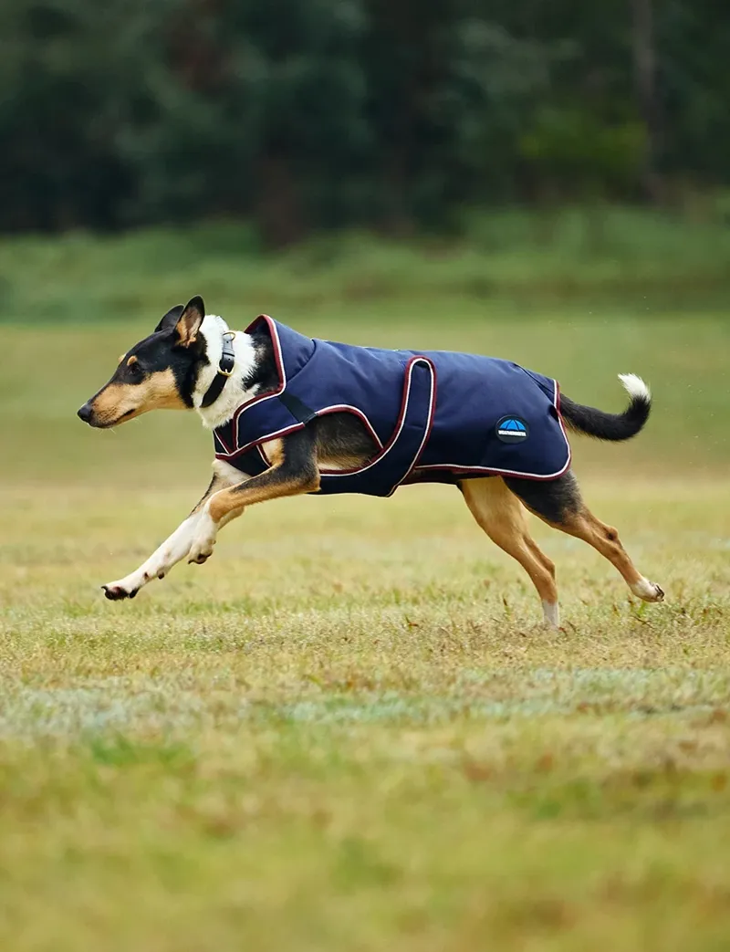 WeatherBeeta Premier Deluxe Waterproof Dog Coat in Navy-2