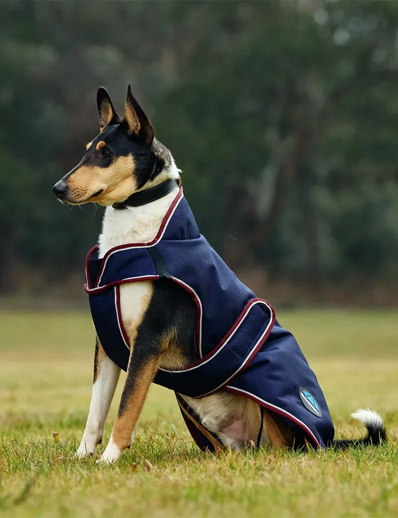 WeatherBeeta Premier Deluxe Waterproof Dog Coat in Navy-1