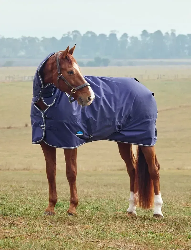 Weatherbeeta Tyro Turnout Combo Rug 360g in Navy-2
