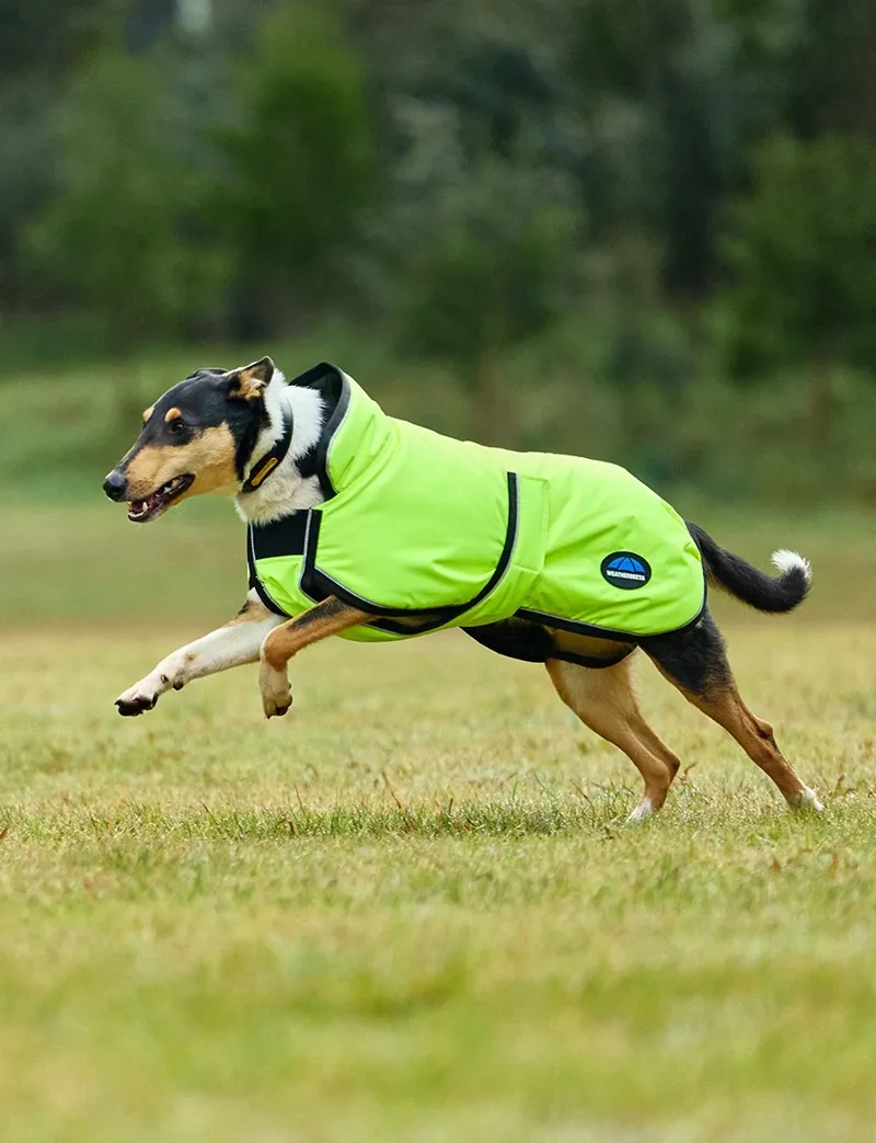 WeatherBeeta ComFiTec Reflective Showerproof Dog Coat in Yellow-5