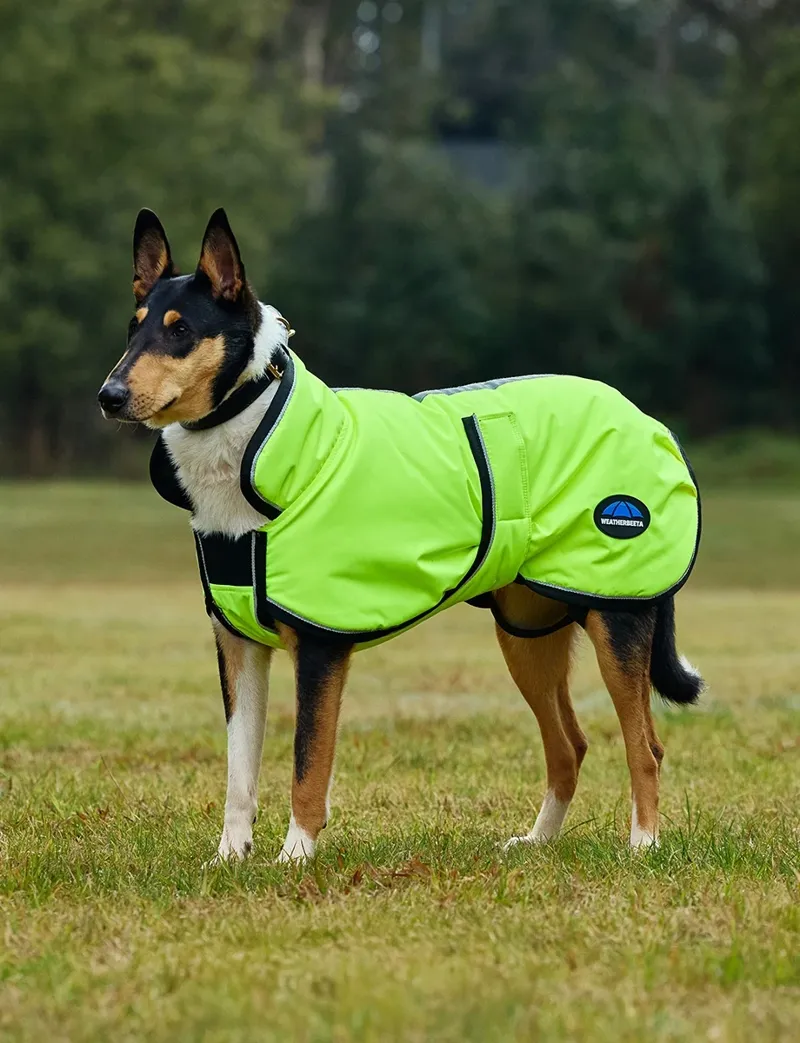 WeatherBeeta ComFiTec Reflective Showerproof Dog Coat in Yellow-2