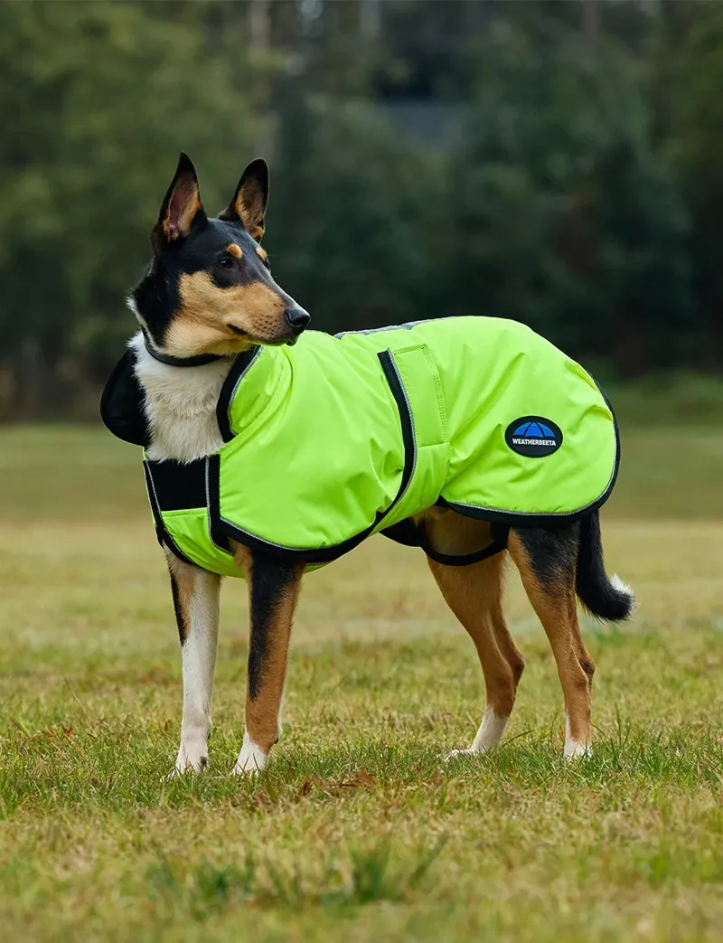 WeatherBeeta ComFiTec Reflective Showerproof Dog Coat in Yellow-1
