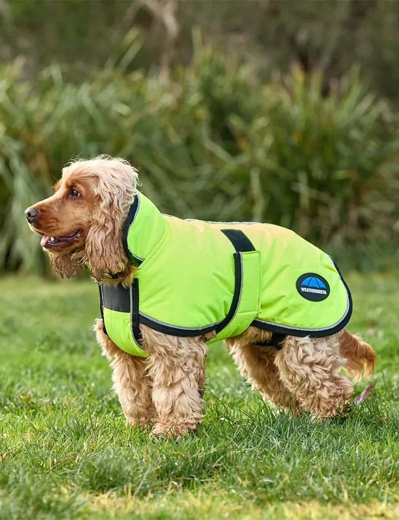 WeatherBeeta ComFiTec Reflective Showerproof Dog Coat in Yellow