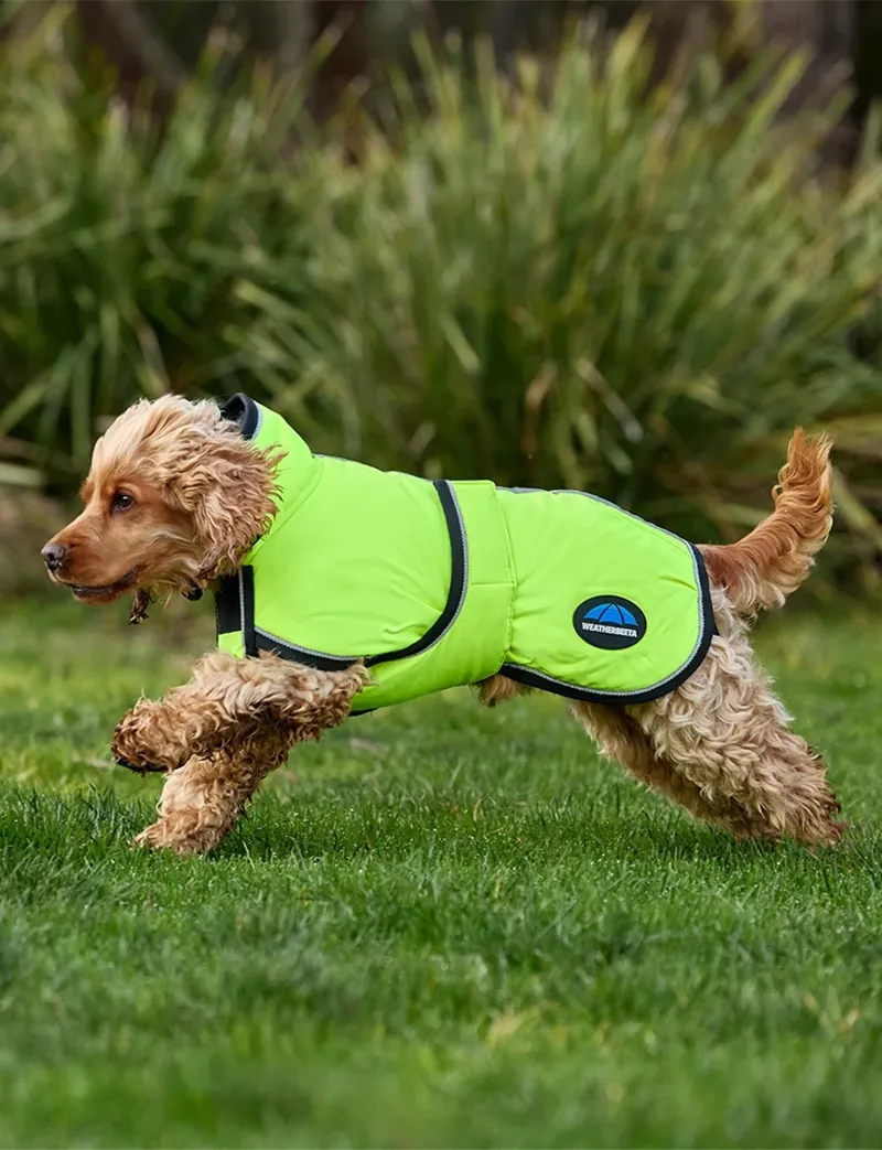 WeatherBeeta ComFiTec Reflective Showerproof Dog Coat in Yellow-6