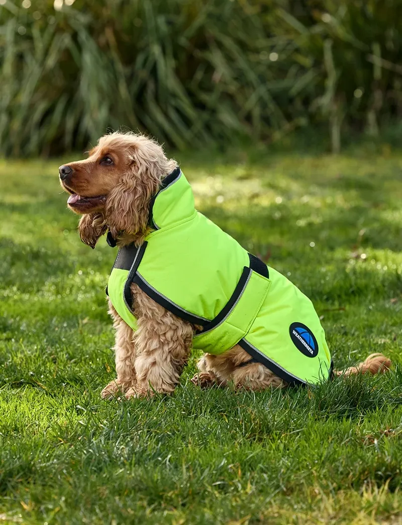 WeatherBeeta ComFiTec Reflective Showerproof Dog Coat in Yellow-4