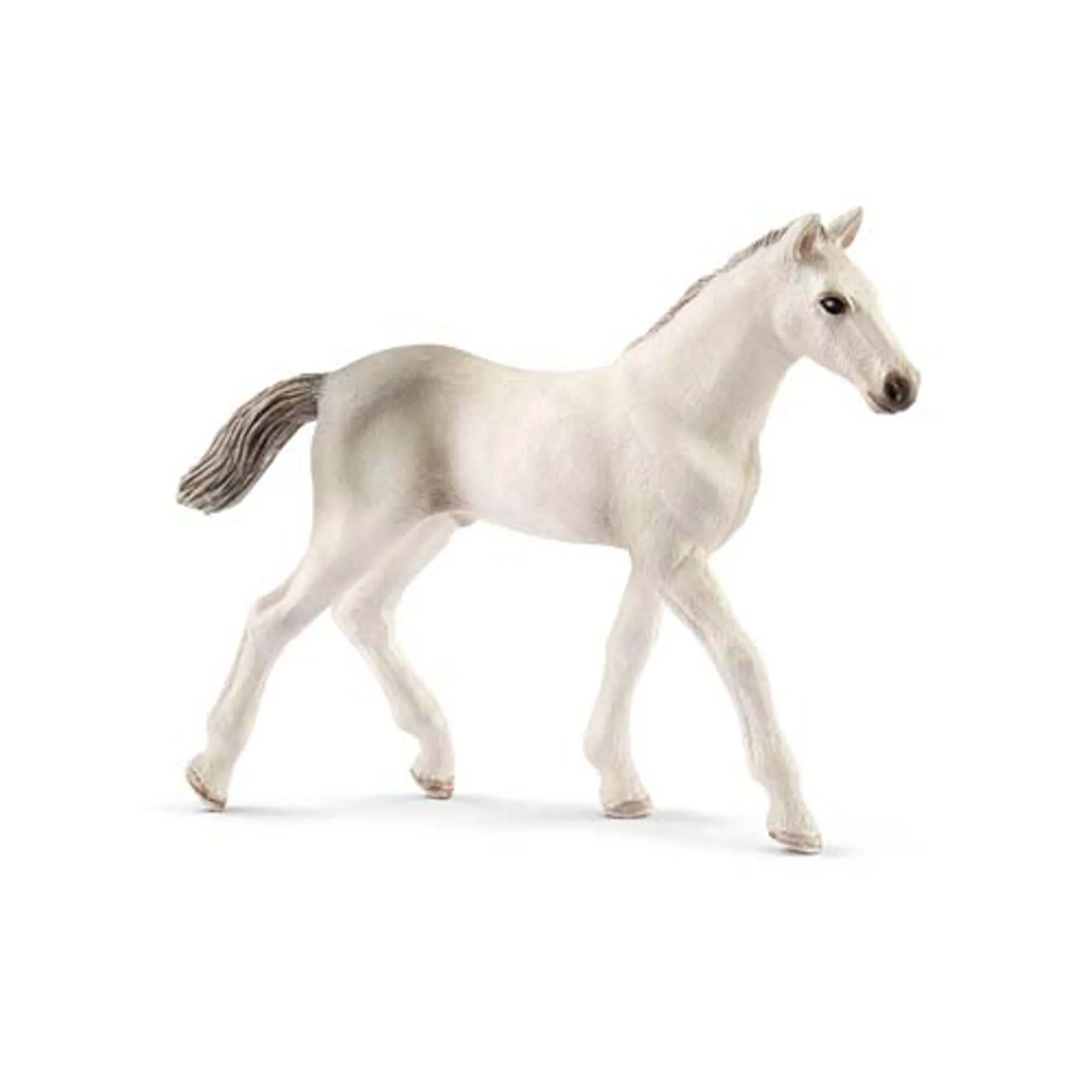 Schleich Holsteiner Foal Toy