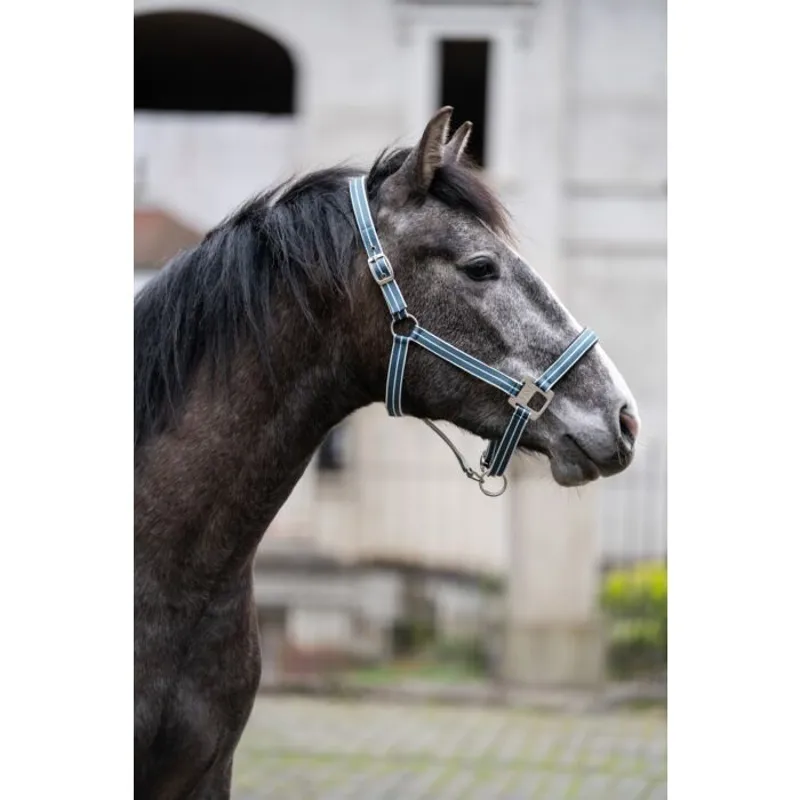 HKM Quebec Headcollar in Petrol-1