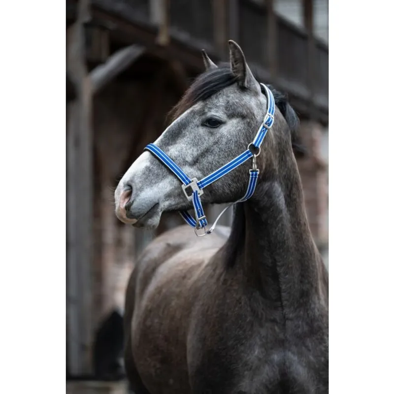 HKM Quebec Headcollar in Blue-1