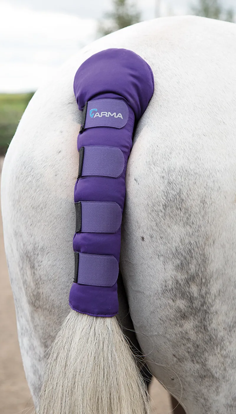 ARMA Padded Tail Guard in Purple