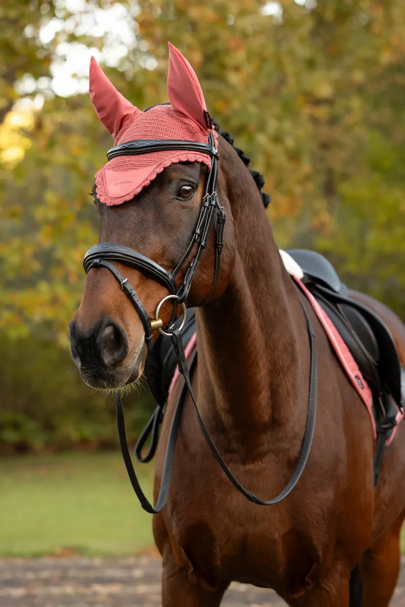 LeMieux Classic Fly Hood in Spiced Earth-1