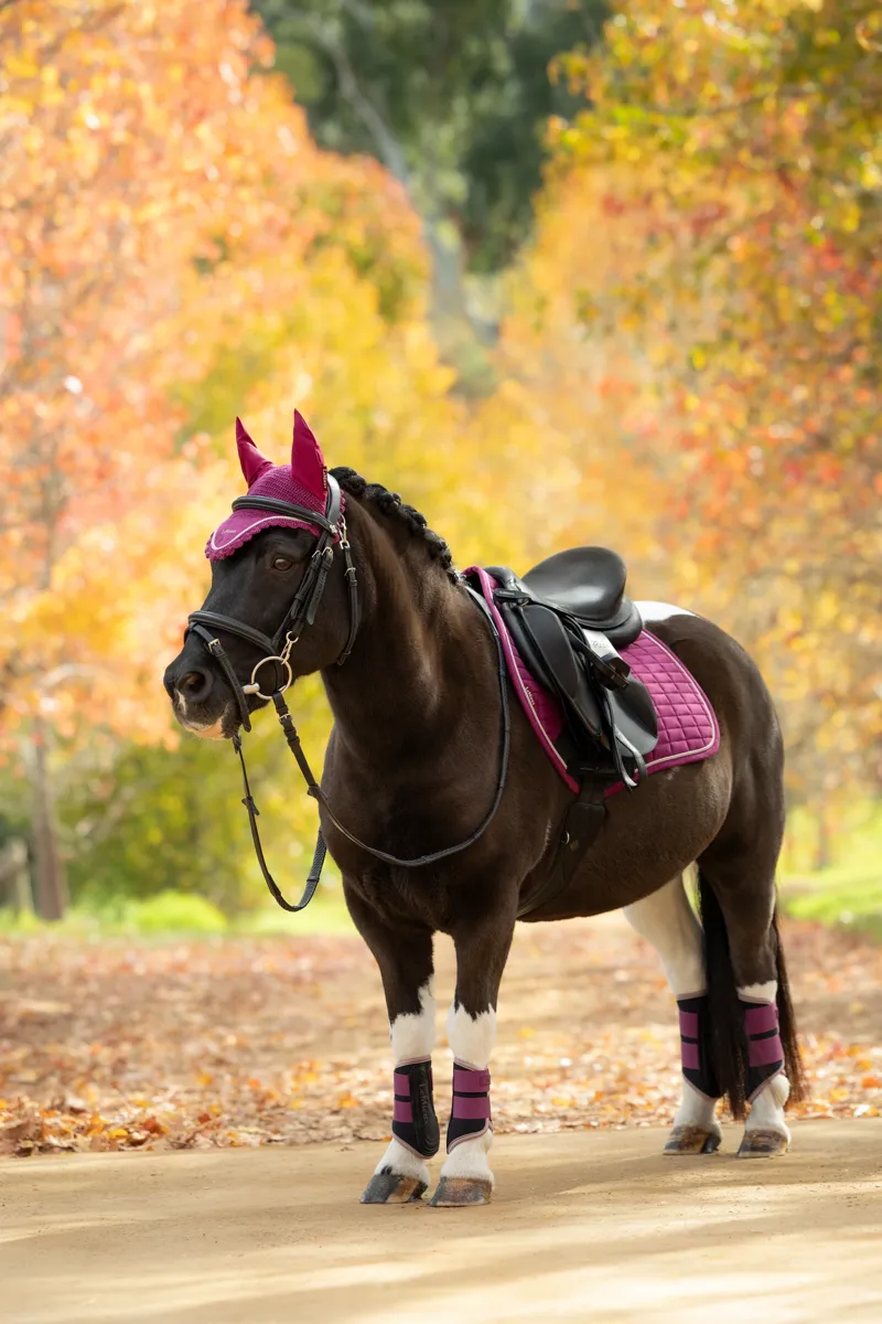 LeMieux Suede Close Contact Saddle Pad in Blackberry-3