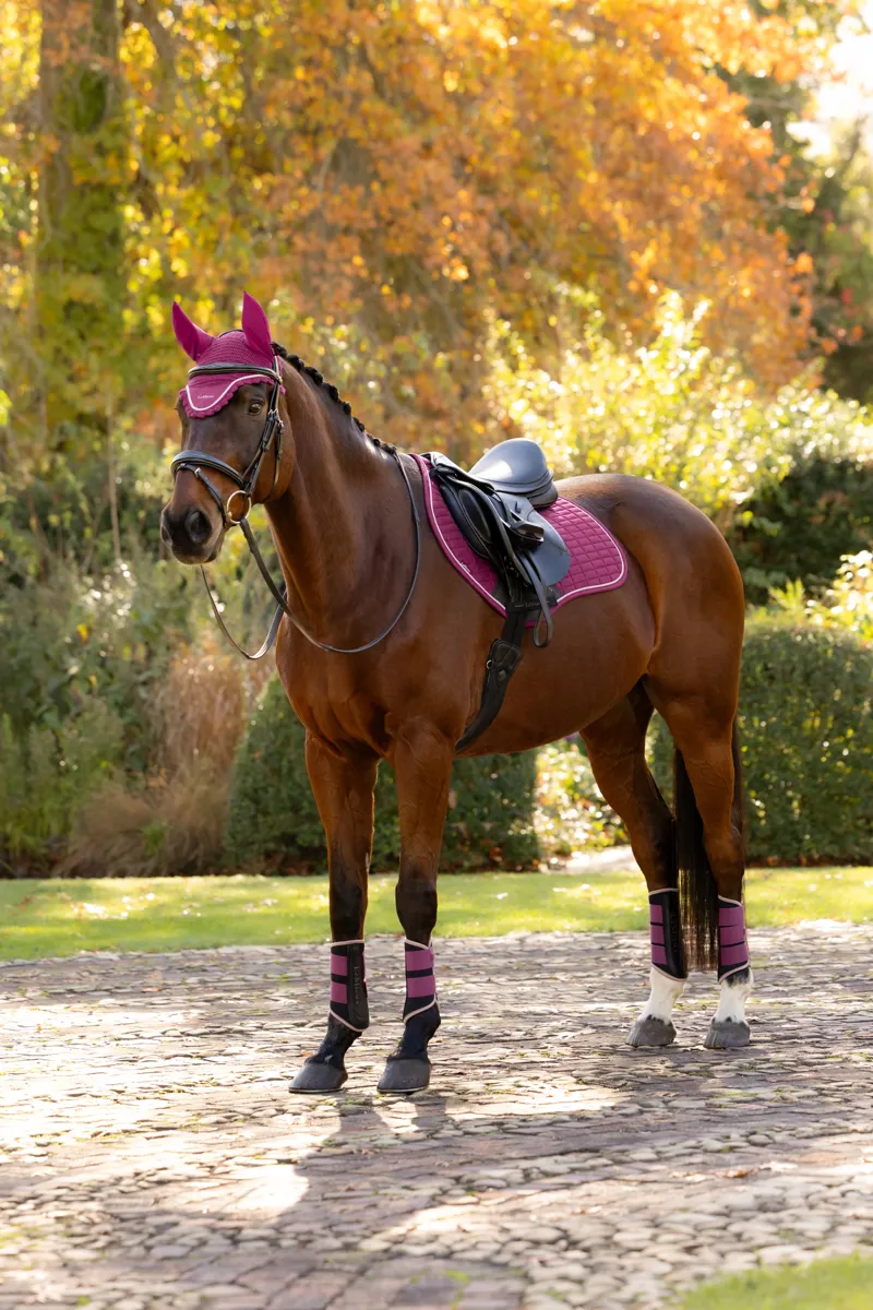 LeMieux Suede Close Contact Saddle Pad in Blackberry-1