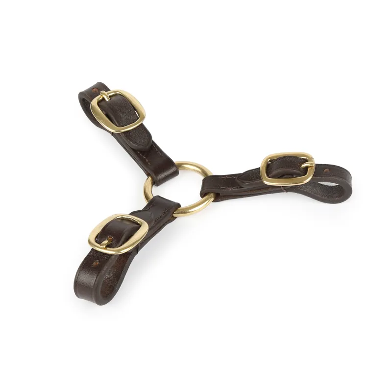 Velociti GARA Three Way Leather Couplings in Havana