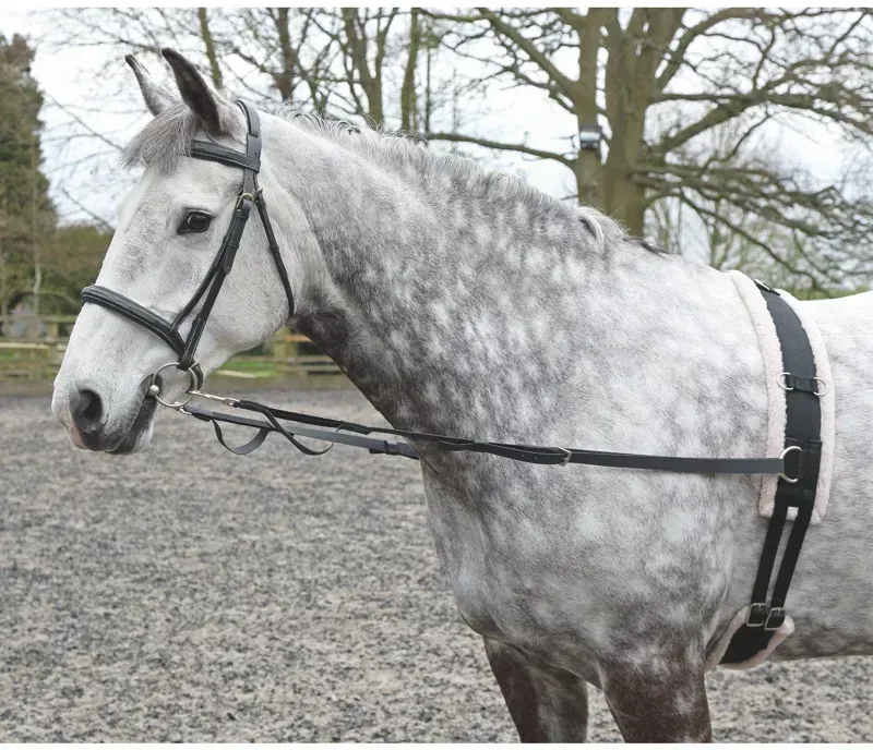 Shires Nylon Web Side Reins in Black-1