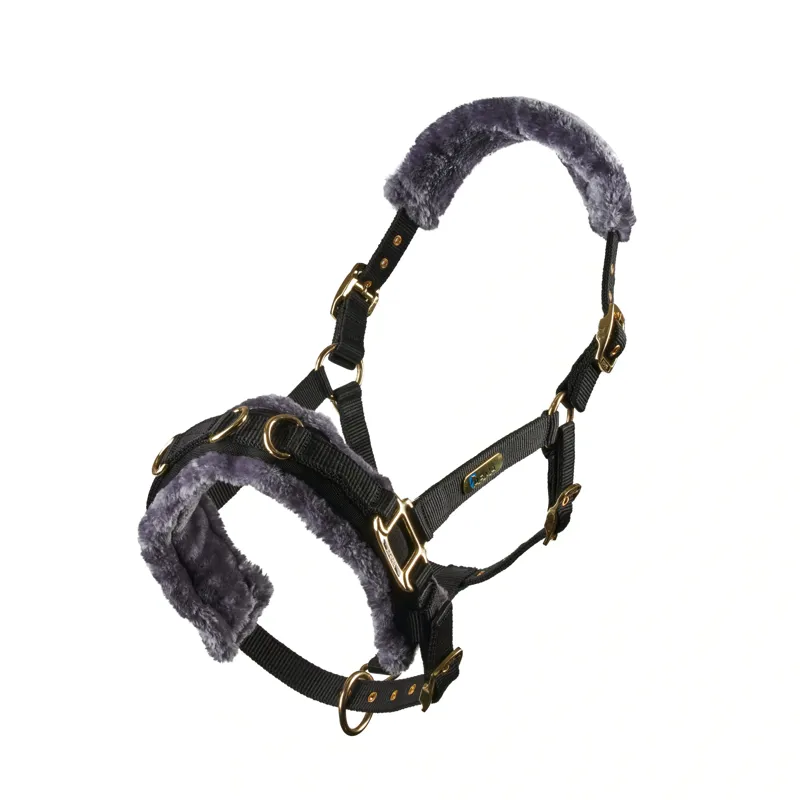 Arma Fleece Lined Lunge Cavesson in Black