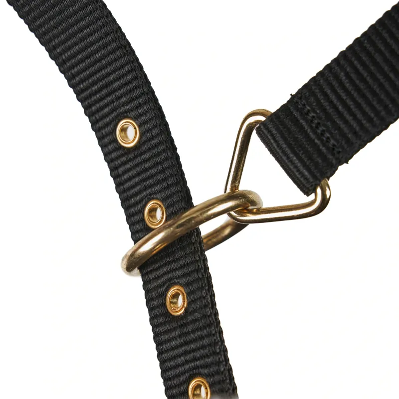 Arma Fleece Lined Lunge Cavesson in Black-3