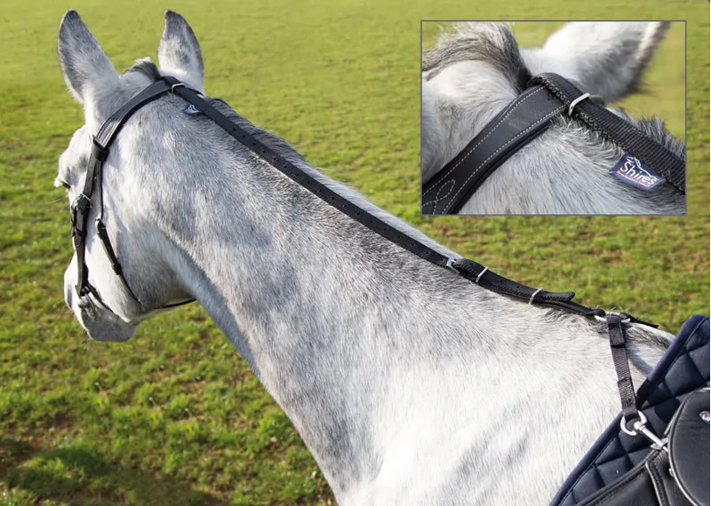 Shires Daisy Rein in Black