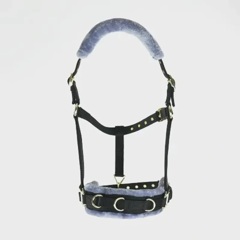 Arma Fleece Lined Lunge Cavesson in Black-1