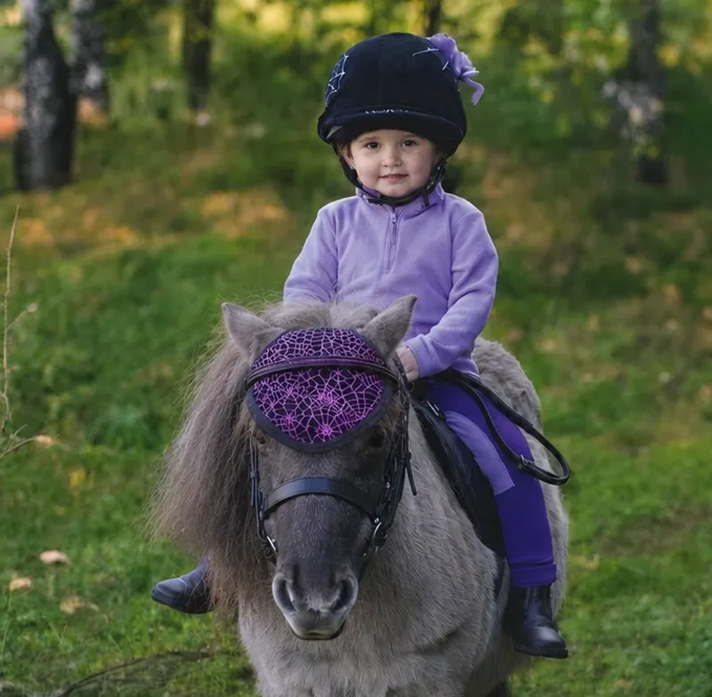 Equetech Cobweb Spider Halloween Horse Hat - Black/Purple-1